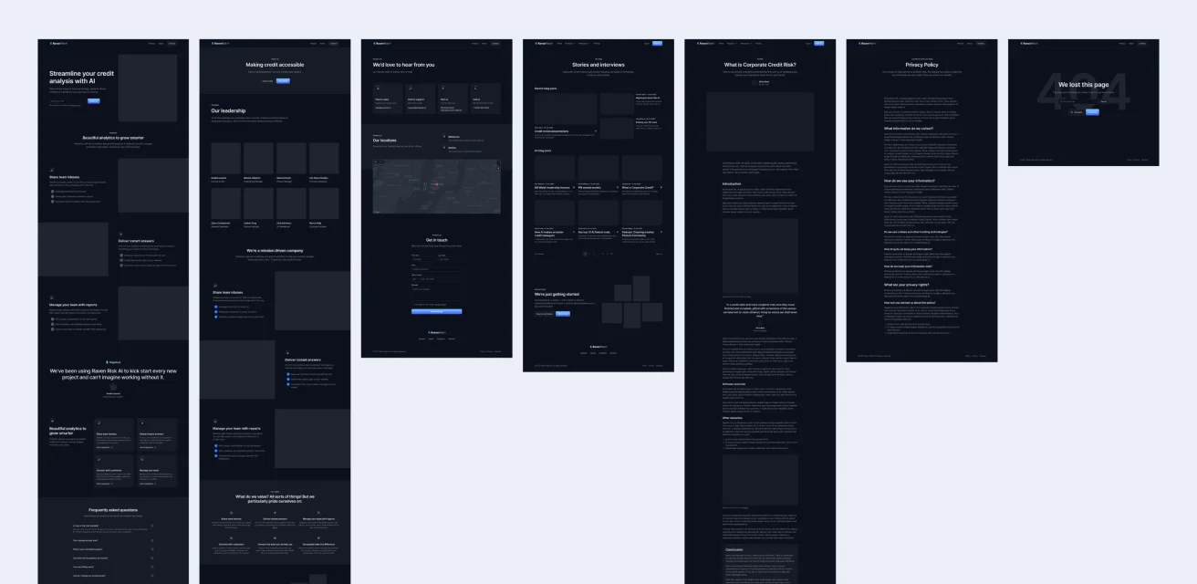 Raven Risk AI website detail — Gallery 1
