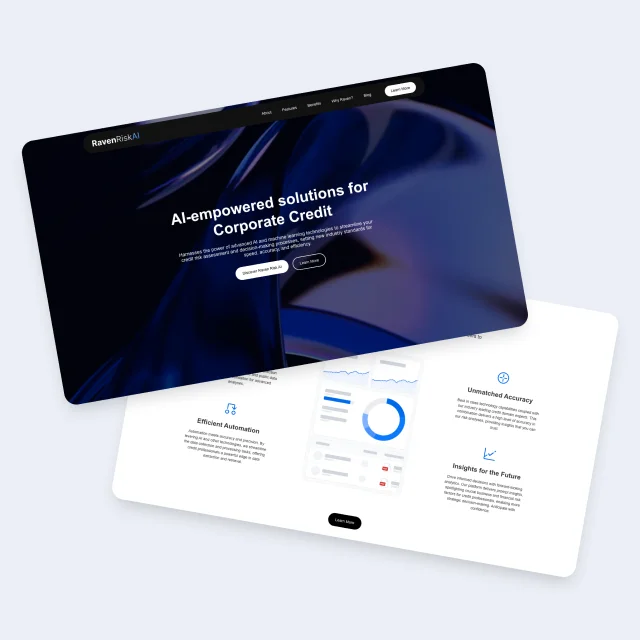 Raven Risk AI website detail — Gallery 3