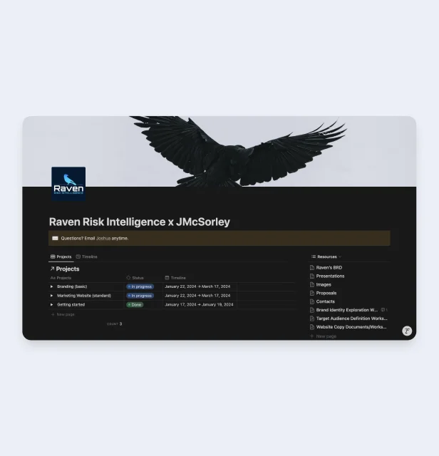 Raven Risk AI brand and product overview